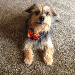 Meet your Posher, Shelli